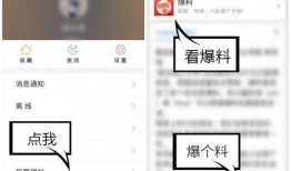 爆料视频顶置怎么看,揭秘幕后操作与热门话题背后的真相
