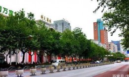 宝鸡新福路最新爆料,揭秘神秘爆料背后的真相