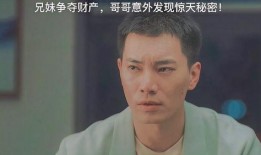 黄磊爆料海青事件视频,真相背后引人深思