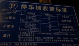 网友爆料停车十分钟视频,停车十分钟引发的争议瞬间